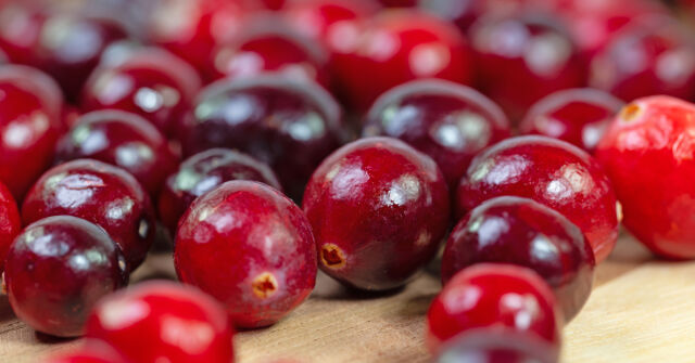 Zakrslé keře: Lingonberry a brusinky