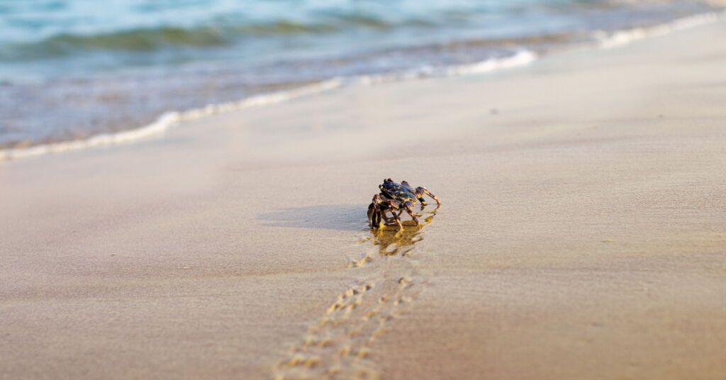 Historie slaných vůní a 5 neobvyklých slaných vůní