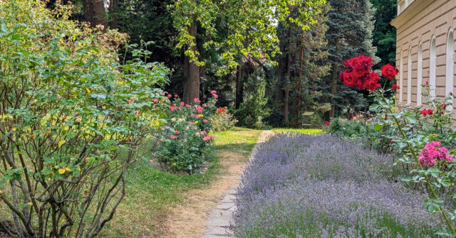 Pražské parky a zahrady: Botanická zahrada Univerzity Karlovy