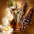 Jean Paul Gaultier DIVINE ELIXIR