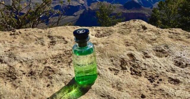 Louis Vuitton Pacific Chill: Radost bez přetvářky