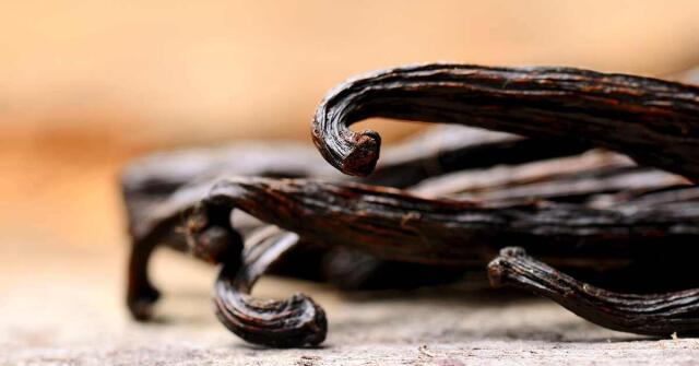 To nejlepší z VANILKY roku 2025