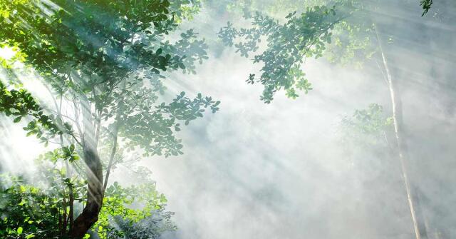 Parfémový horoskop: září - 14. září