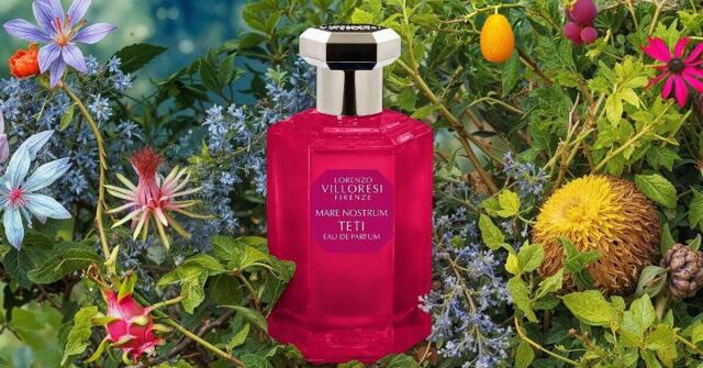 Lorenzo Villoresi TETI