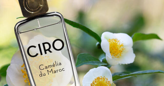 Camélia du Maroc Parfums Ciro