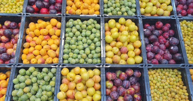 Švestka a její příbuzní