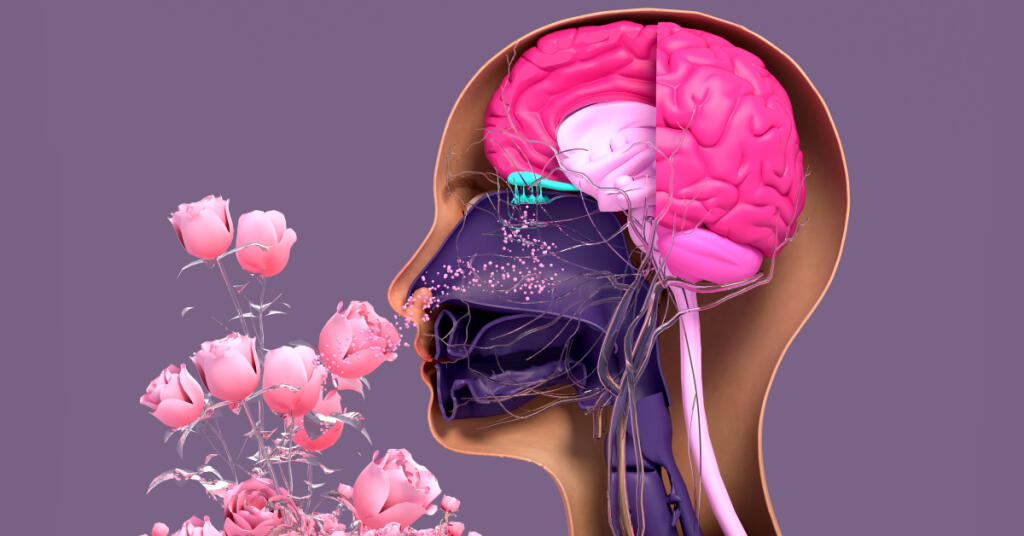 Primární pachy aneb čichová abeceda. Část 3