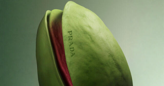 Prada Paradoxe Radical Essence: Pistáciový popcorn s omáčkou z pomerančových květů