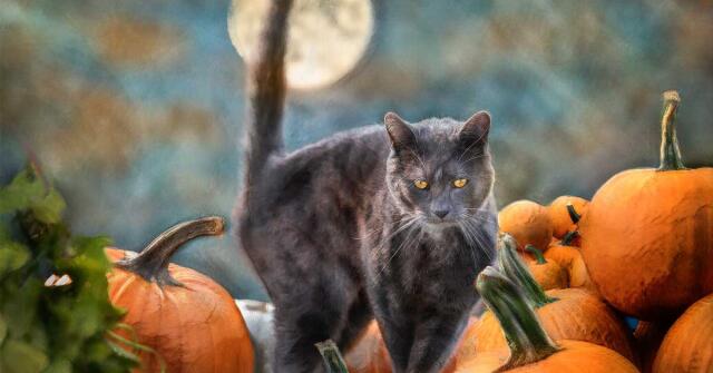 Parfémový horoskop: 3. listopadu – 9. listopadu