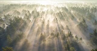 Parfémový horoskop: 7. prosince – 13. prosince