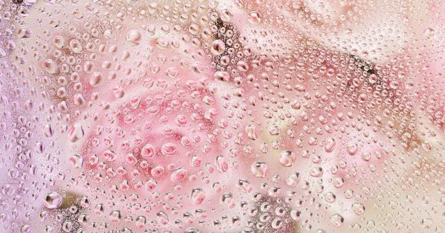 3 nečekaně svěží růžové vůně