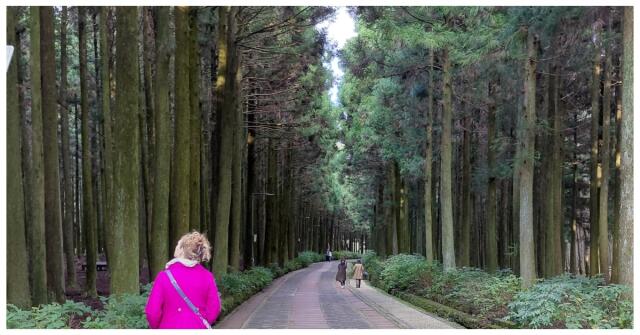 Dálný východ: Vonná cestovatelská dobrodružství