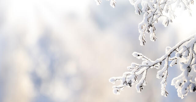 Vůně sněhu v parfému