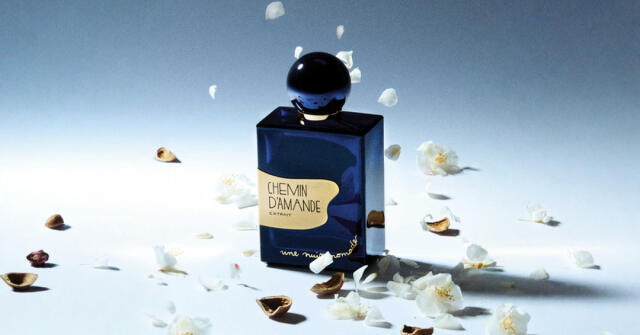 CHEMIN D’AMANDE Une Nuit Nomade: Mandle prozkoumaná ze všech úhlů