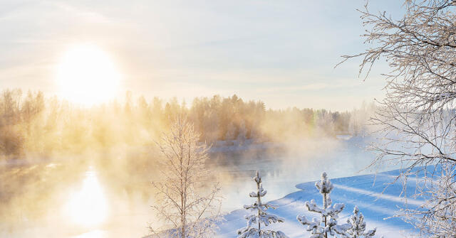 Parfémový horoskop: 2. února – 8. února