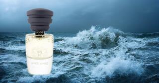 White Whale od Masque Milano