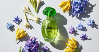 Způsob života s Cabotine Grès