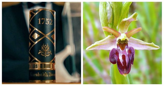 1752 Karabakh Bouquet od Mughamu: Recenze