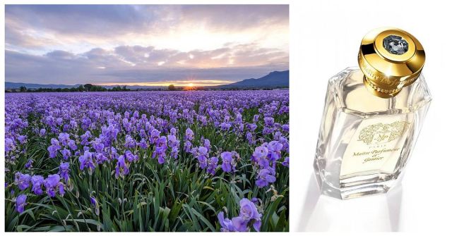 Iris Bleu Gris Maitre Parfumeur et Gantier: Kouř na vodě