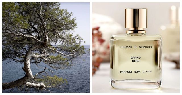 ESXENCE 2023: Grand Beau Thomas de Monaco