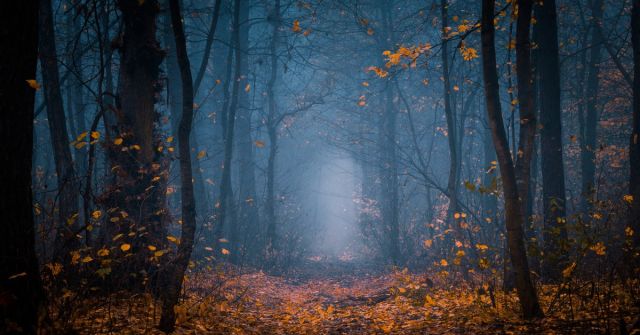 Splav vydání od 4160 Tuesdays