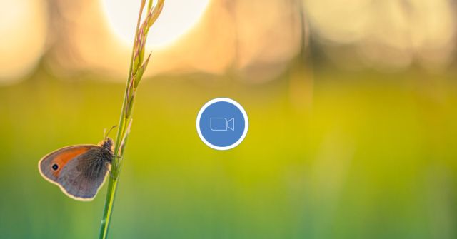 Fragrantica Talks: Oblíbené letní vůně