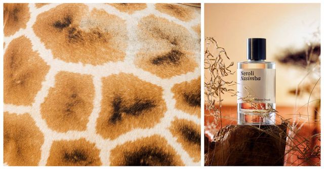 Recenze Neroli Nasimba Maison Crivelli