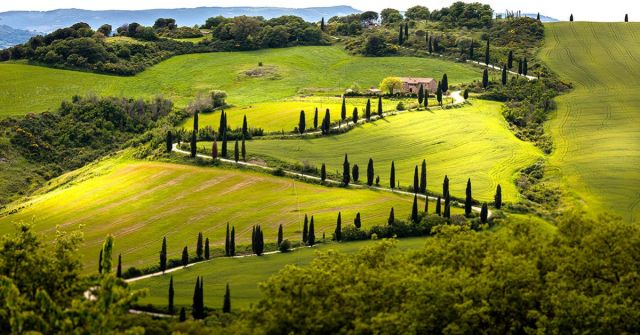 Lacura Mendittorosa: Postarám se o vás...
