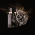 Hazy Rose od Ramon Monegal: růže s tajemstvím