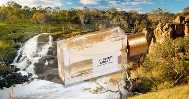 Tajemná květina uvnitř: Ingenious Ginger od Goldfield & Banks