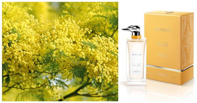 Procházka po Via Fiori Oscuri: Trussardi zve na procházku