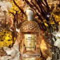 Aqua Allegoria Forte Bosca Vanilla: Letní vanilka 