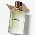 Nová Burberry kolekce - Signatures: Ash Flower, Oud Storm, Snow Blossom