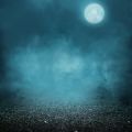 A Pale Moon Rises......Bewitching Scents Come out!