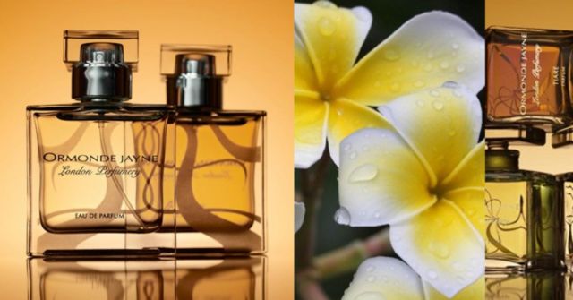 D.S. & Durga's Steamed Rainbow: Vůně nesouhlasu