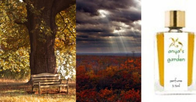 Fragrantica Talks: Letní parfémy, které nejsou citrusové