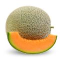 Best in Show: Melon (2018)
