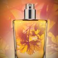 Fall Scents: What Fragrantica Writers Are Wearing This Season (2018)