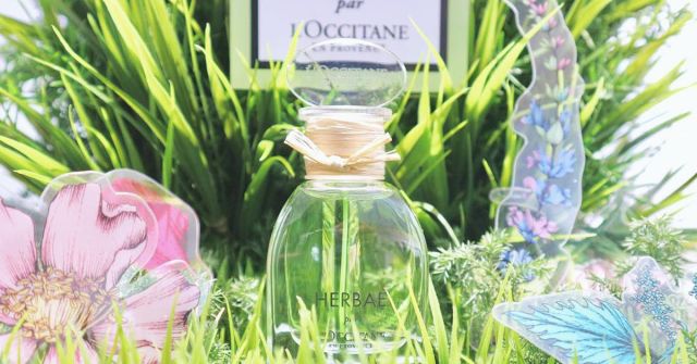 Herbae L'Occitane en Provence perfume - a fragrance for women and