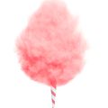 Which Would Win?: Cotton Candy Fragrances