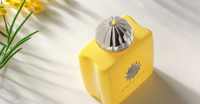 Love Mimosa Amouage perfume - a fragrance for women 2019