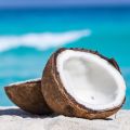 Which Would Win?: Coconut Fragrances