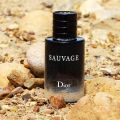 The Perfect Companion: Sauvage Dior