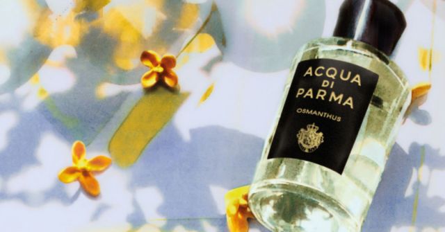 ACQUA DI PARMA SANDALO サンダーロ100mL Acqua Di Parma Sandalo for Men, Eau de parfum, 100 mL | Costco