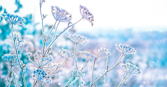 2013 Résidence d'Artistes Les Bains Guerbois perfume - a fragrance