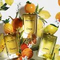 Dolce & Gabbana Fruit Collection: Lemon, Orange, Pineapple