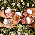 Marc Jacobs Daisy Petals Collection: To-Go Format