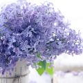 Lilacs out of the Dead Land: The Scent of Hope