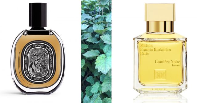 Lumière Noire Pour Femme Maison Francis Kurkdjian perfume - a