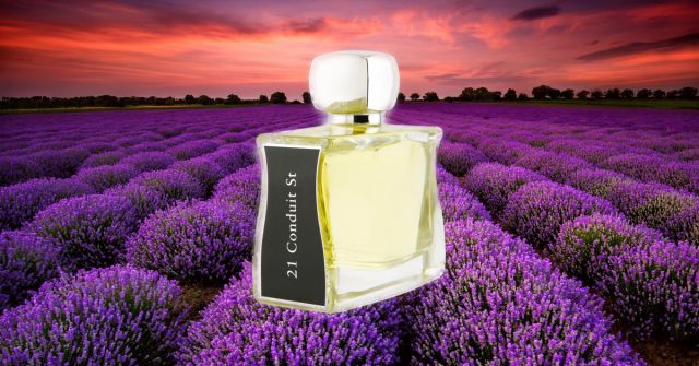 Fougère Platine Tom Ford perfume - a fragrance for women and men 2018